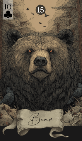 The Bear
